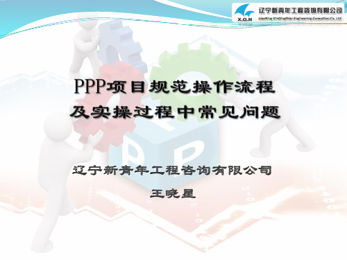 PPP项目规范操作流程及实操过程中的常见问题