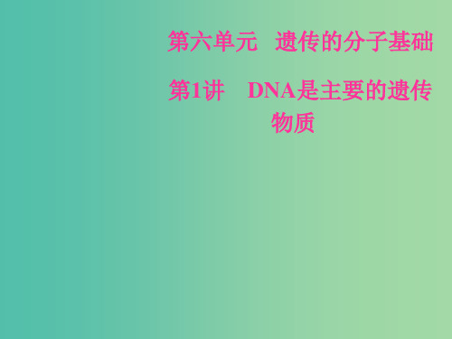 高考生物总复习第六单元遗传的分子基础第1讲DNA是主要的遗传物质