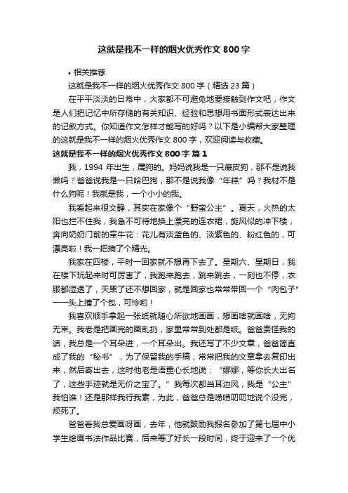 这就是我不一样的烟火优秀作文800字