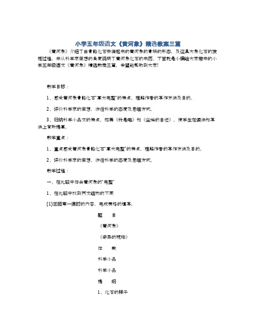 小学五年级语文《黄河象》精选教案三篇