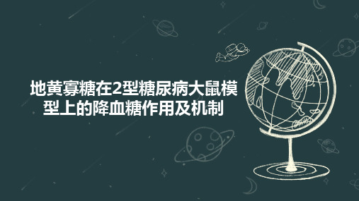 地黄寡糖在2型糖尿病大鼠模型上的降血糖作用及机制