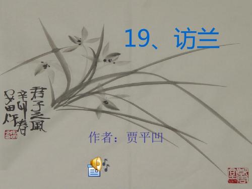 19、访兰___西师大版六年级下册