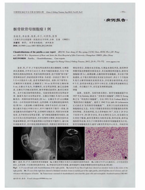 髌骨软骨母细胞瘤1例