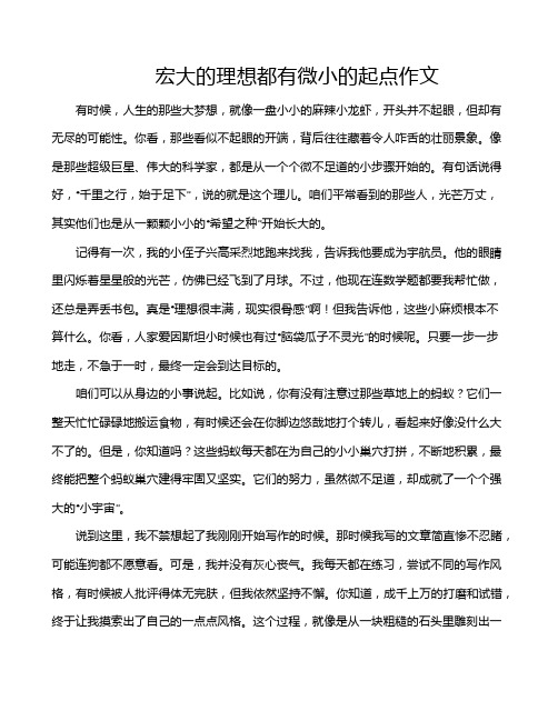 宏大的理想都有微小的起点作文