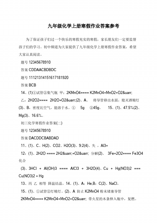 九年级化学上册寒假作业答案参考