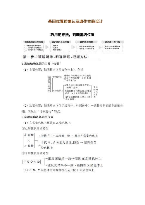 mxt0-高中生物-基因位置的确认及遗传实验设计