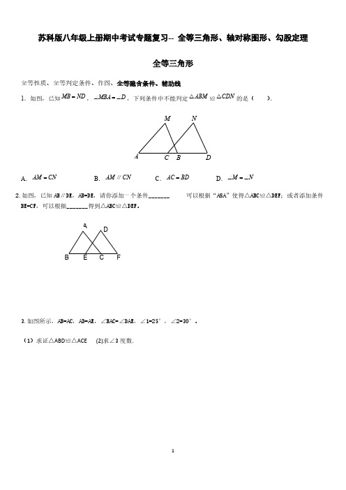 苏科版八年级上册期中考试专题复习--全等三角形、轴对称图形、勾股定理