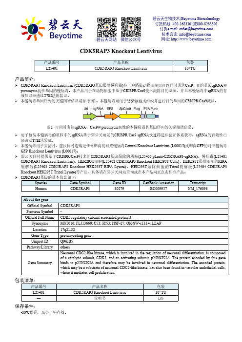 CDK5RAP3 Knockout Lentivirus 产品说明书