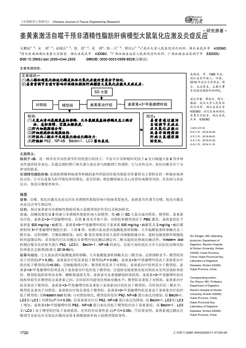 姜黄素激活自噬干预非酒精性脂肪肝病模型大鼠氧化应激及炎症反应