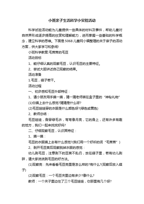 小班亲子生活科学小实验活动