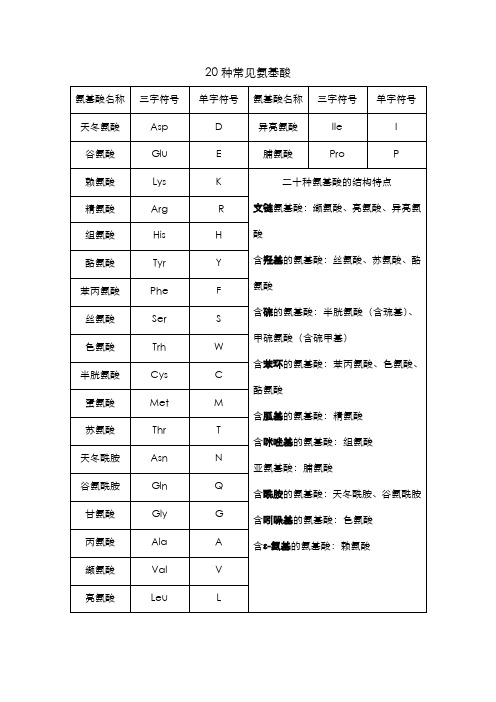 20种常见氨基酸