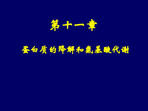 第十一章蛋白质的降解和氨基酸代谢化药