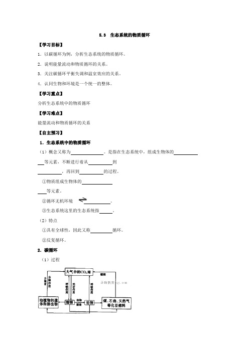 人教版必修三 5.3 生态系统的物质循环 学案