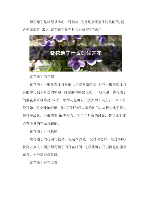 紫花地丁什么时候开花