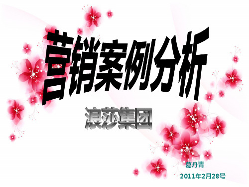 市场营销案例-浪莎企业介绍 PPT课件