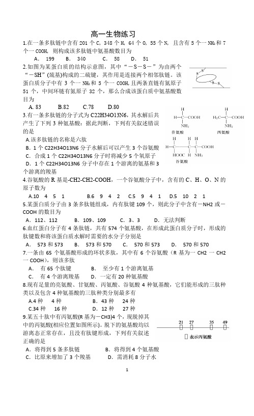 高中生物 人教版 必修一 第二章 第二节 生命活动的主要承担者—蛋白质 计算专题