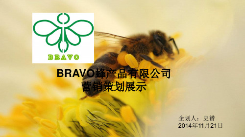 BRAVO公司PPT介绍