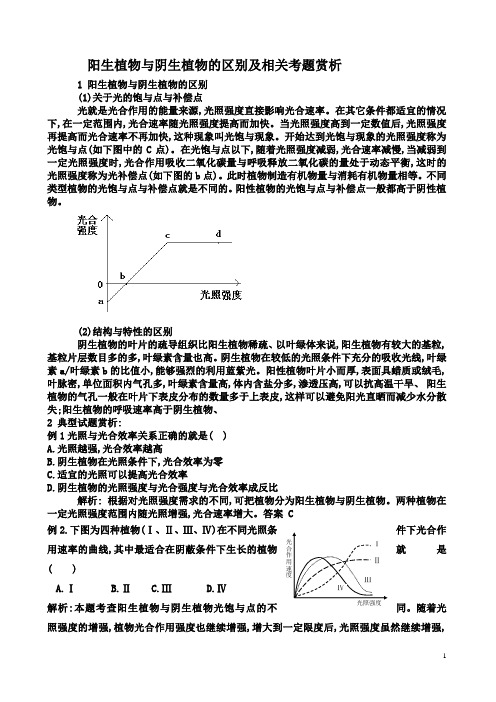 阳生植物与阴生植物的区别及相关考题赏析