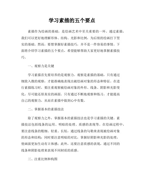 学习素描的五个要点