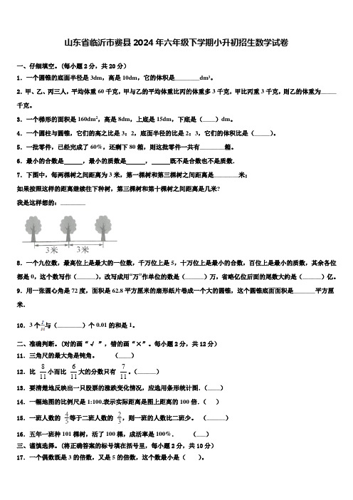 山东省临沂市费县2024年六年级下学期小升初招生数学试卷含解析