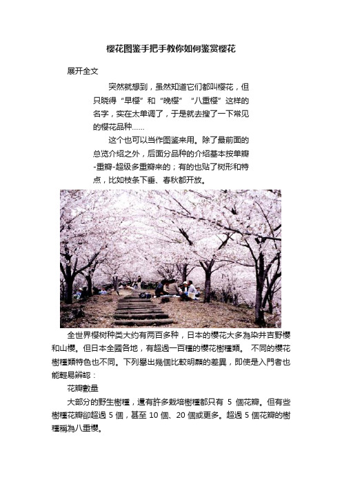 樱花图鉴手把手教你如何鉴赏樱花