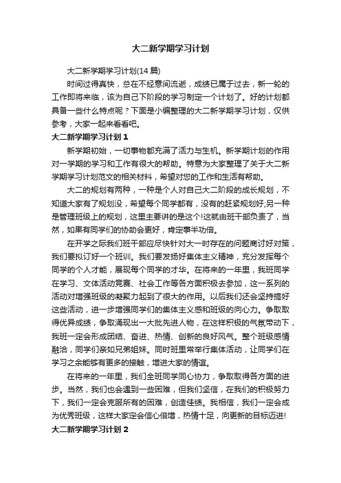 大二新学期学习计划（14篇）