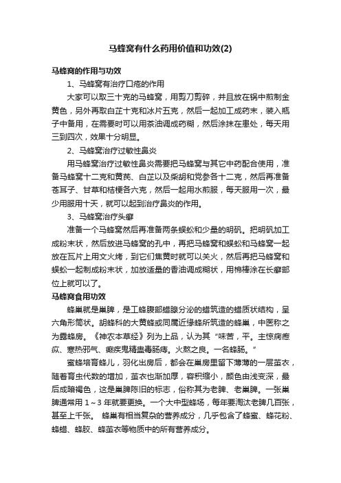 马蜂窝有什么药用价值和功效（2）