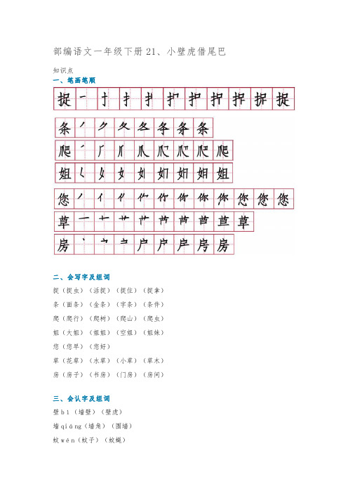 部编版一年级下册语文21、小壁虎借尾巴 ( 知识讲解+图文讲解)