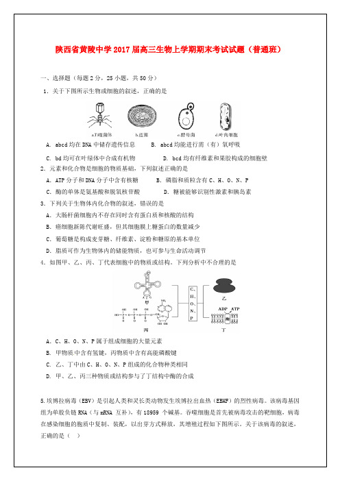 陕西省黄陵中学高三生物上学期期末考试试题(普通班)