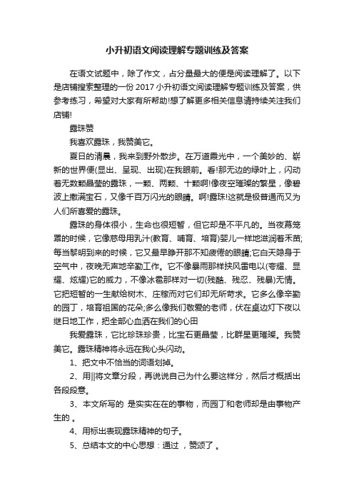 小升初语文阅读理解专题训练及答案