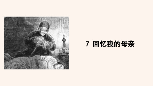 初中语文部编版八年级上册课件7回忆我的母亲