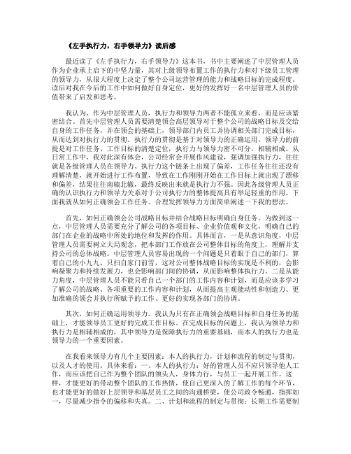 《左手执行力右手领导力》读后感
