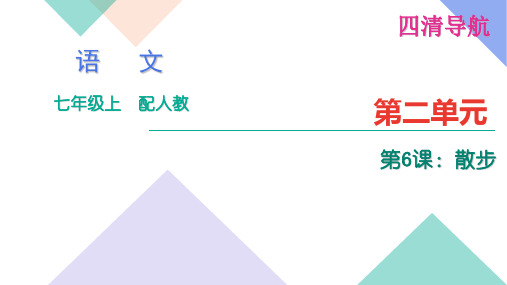 四清导航6.散步练习题及答案(通用)