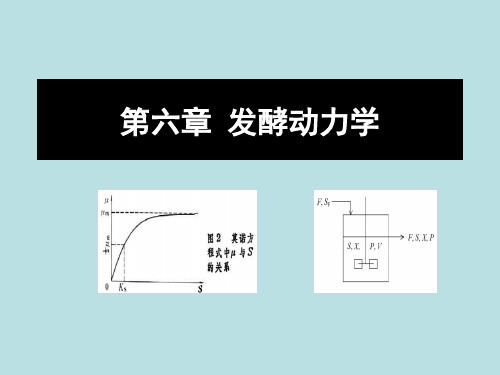 发酵动力学