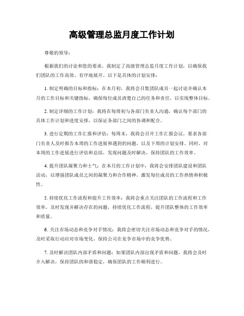 高级管理总监月度工作计划