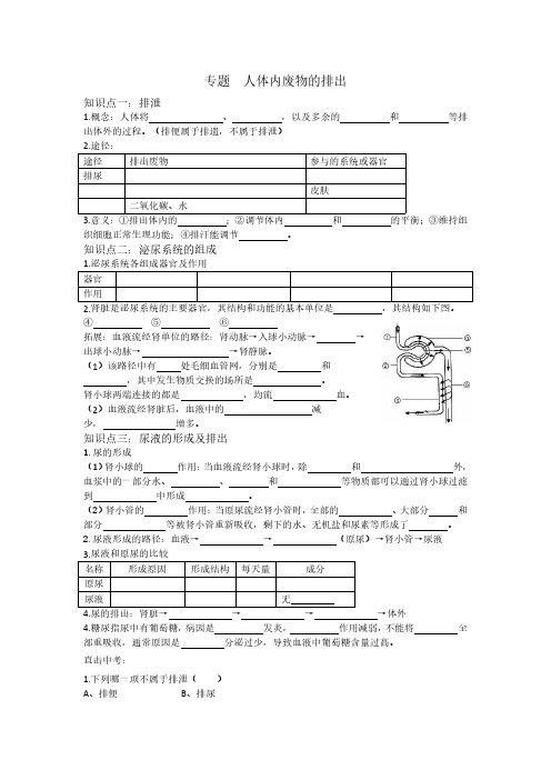 专题 人体内废物的排出(无答案版)