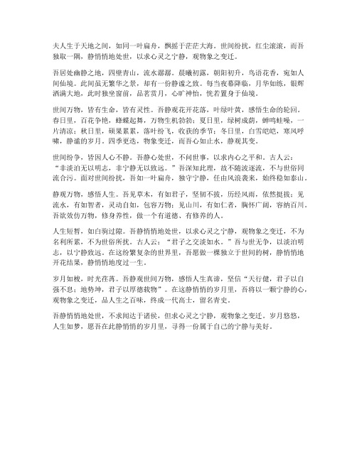 静静地文言文翻译