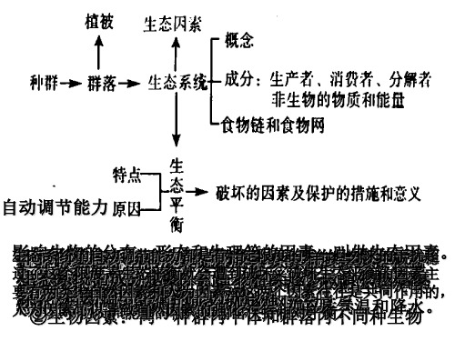 九年级科学生态因素