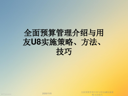 全面预算管理介绍与用友U8实施策略方法技巧