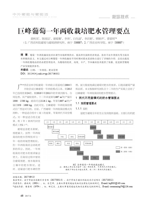 巨峰葡萄一年两收栽培肥水管理要点