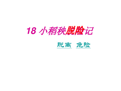 苏教版三年级语文上册《18小稻秧脱险记》课件