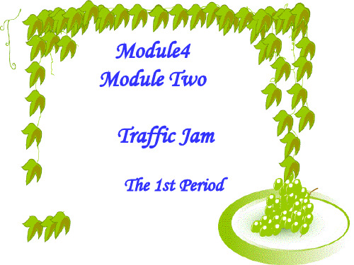 Book4module2Traffic Jam 词汇