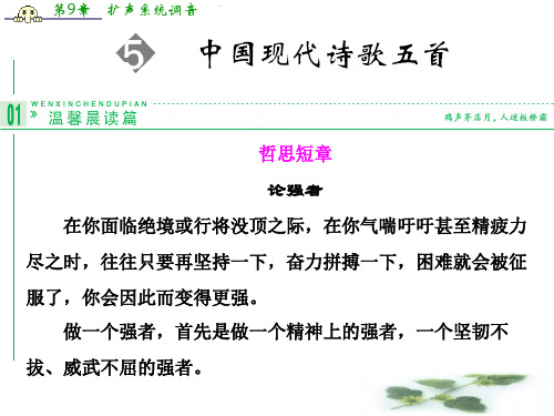 高一语文配套课件:5中国现代诗歌五首(粤教必修2)