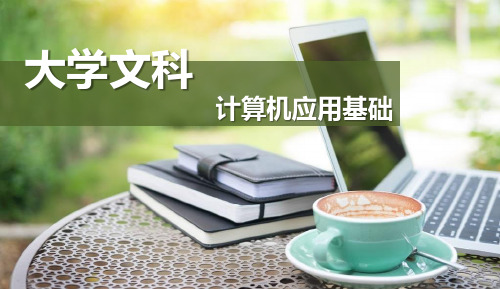 《大学文科计算机应用基础(应用型)》教学课件 大学文科计算机应用基础(第三章)课件