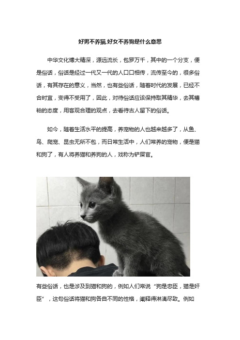 好男不养猫,好女不养狗是什么意思