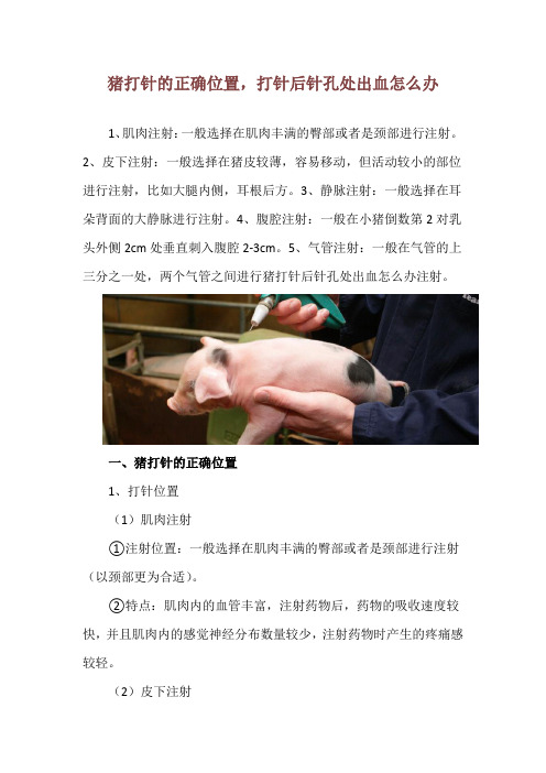 猪打针的正确位置,打针后针孔处出血怎么办