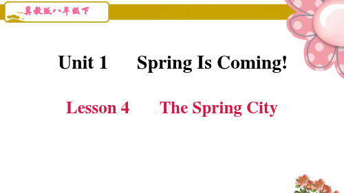 冀教版八年级英语下册unit 1第一单元Lesson 4 The Spring City