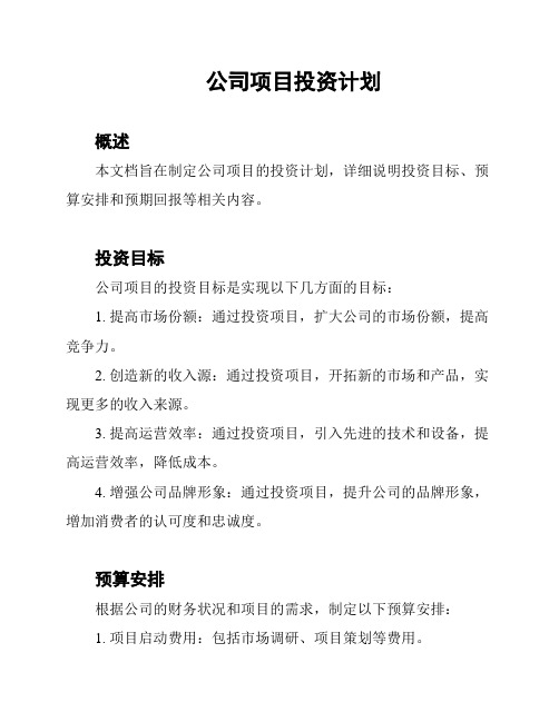 公司项目投资计划