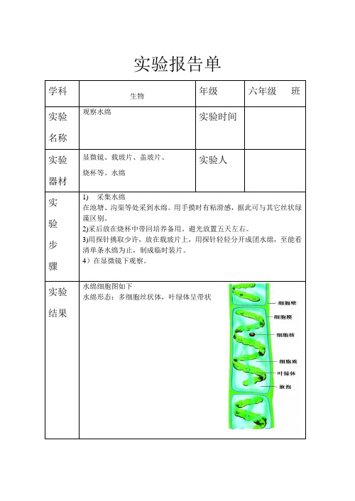 实验：观察水绵实验