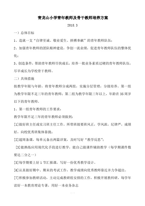 青年教师及骨干教师培养方案